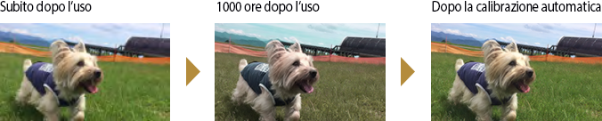 Calibrazione automatica