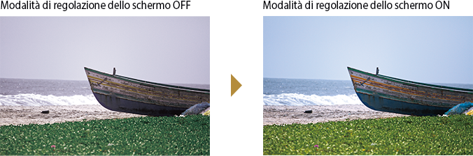 Modalità di regolazione dello schermo