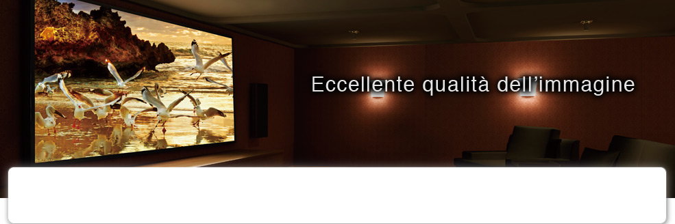 Eccellente qualità dell’immagine