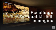 Eccellente qualità dell’immagine