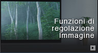 Funzioni di regolazione Immagine