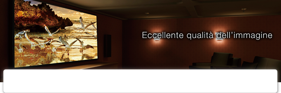 Eccellente qualità dell’immagine