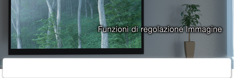 Funzioni di regolazione Immagine