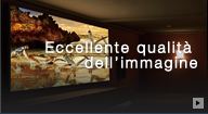 Eccellente qualità dell’immagine