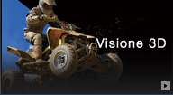 Visione 3D
