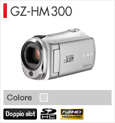GZ-HM300