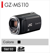 GZ-MS110