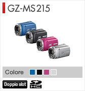 GZ-MS215
