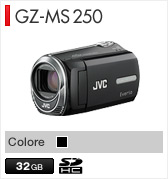 GZ-MS250