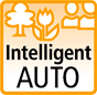 Funzione Automatica di Controllo Intelligente