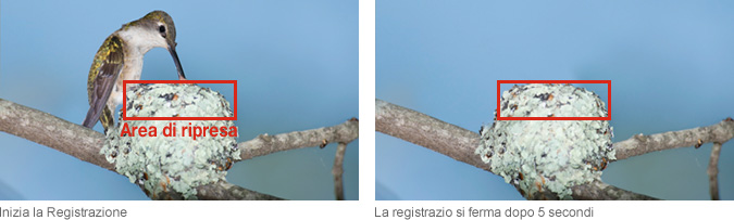 Inizia la Registrazione:Area di ripresa > La registrazio si ferma  dopo 5 secondi