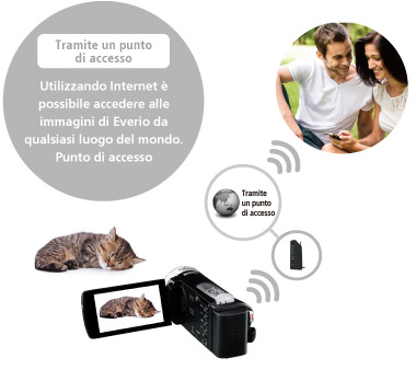 Monitoraggio dal vivo