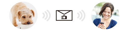 Foto e-mail automatica