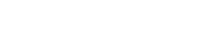 AURICOLARI A FORMA DI UGELLO