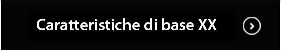 Caratteristiche di base XX